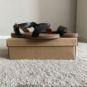 Steve Madden Dina Flat Sandals